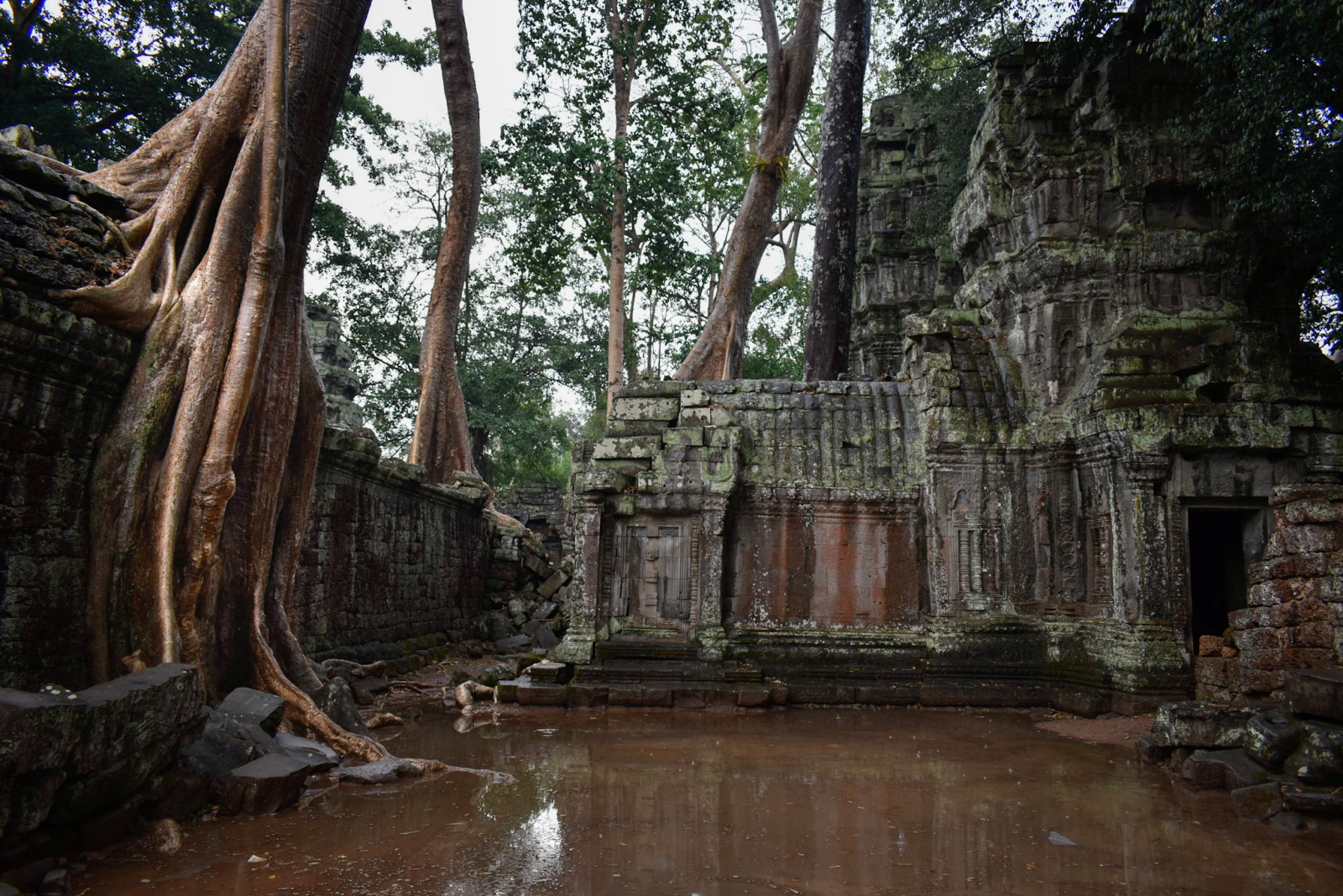 Cambodia photo tours Angkor Wat-ta prohm temple